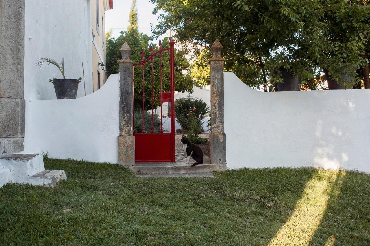 Casa Das Alfazemas Com Piscina, Jardim E Snooker Adao Lobo Dış mekan fotoğraf